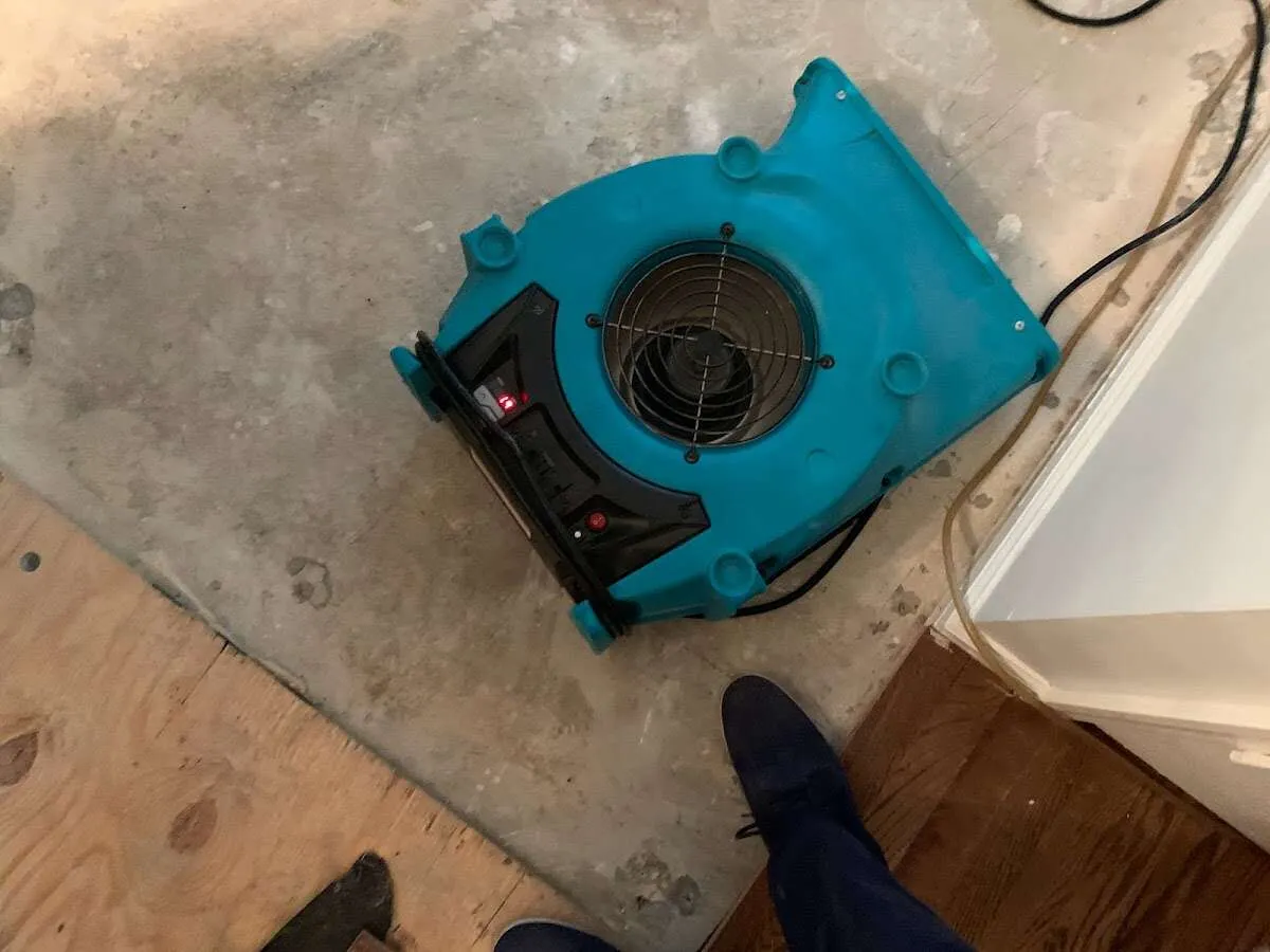 Air mover drying subfloor during Commercial Water Damage Restoration in Nolanville